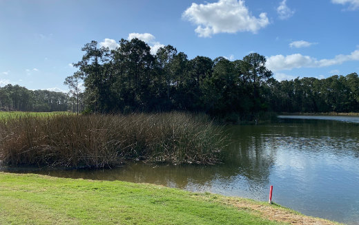 Enviromental Consulting in Palm Coast FL