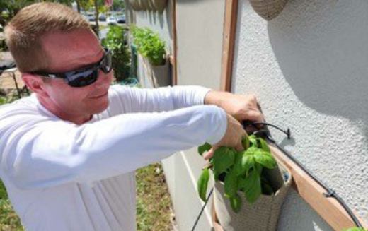 Environmental Restoration Services Growplants Installation-3