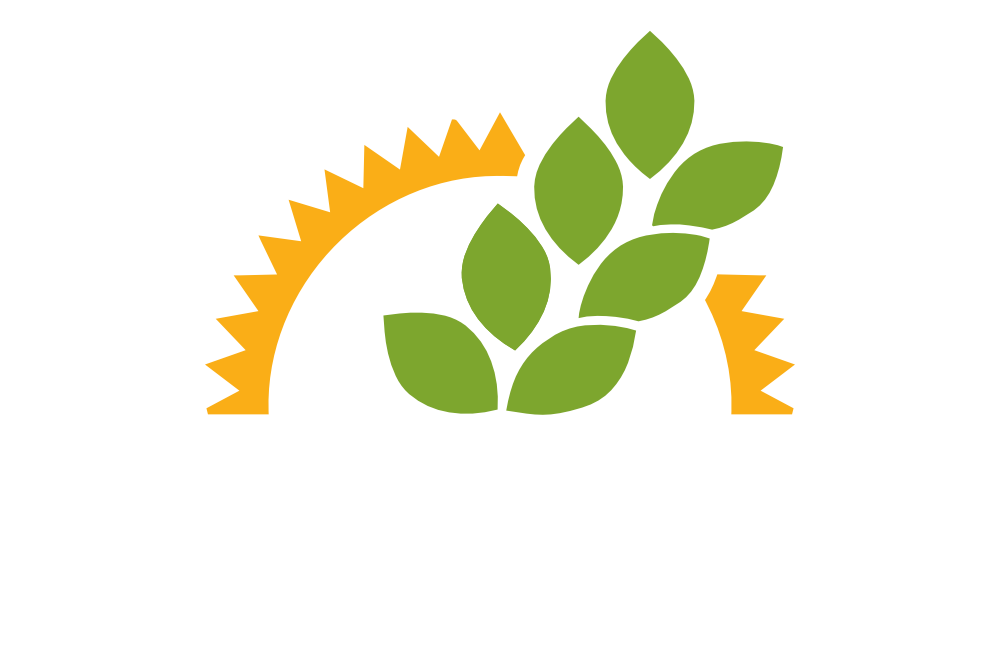 Environmental Restoration Services in Palm coast Logo-2