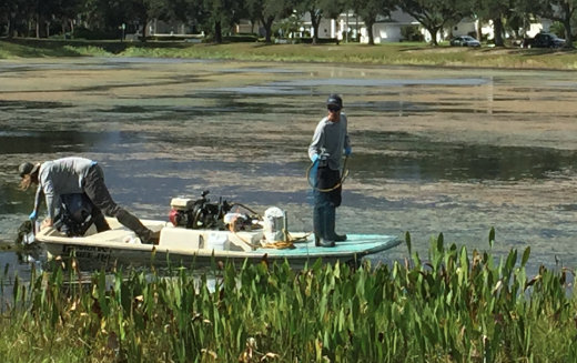 Lake Maintenance and management